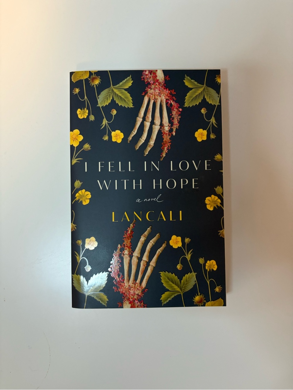 I Fell in Love with Hope by Lancali